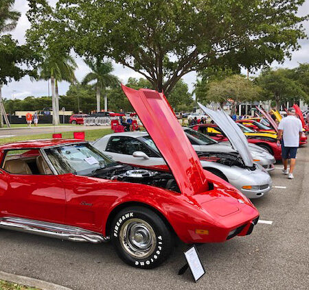 BT Show 2019 COTG Cars